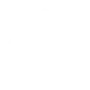 AI Chatbots & Virtual Assistants