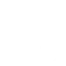 Data Privacy & Consumer Protection