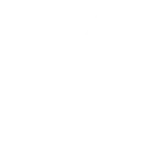 Fraud Detection & Security