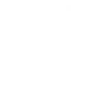 Custom Icon