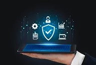 Enterprise & Security Standards