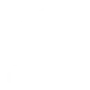 Government