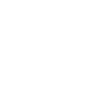 Premium Icon
