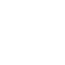Standard Icon