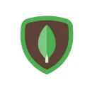 MongoDB