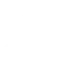 Google partner logo