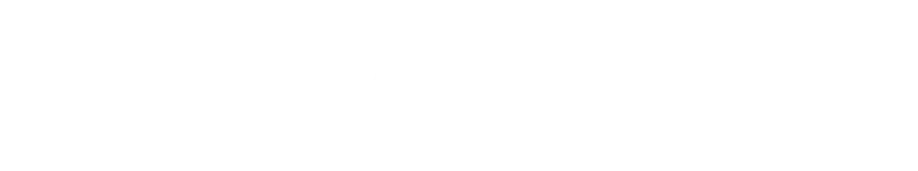 Star Importers client logo